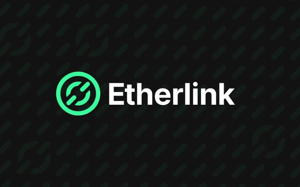 Etherlink has launched a surprise NFT mint on Rarible, described as "the key to something special"