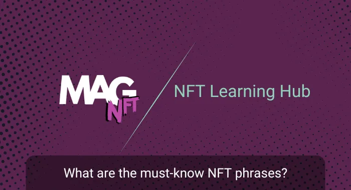what are the must know nft phrases