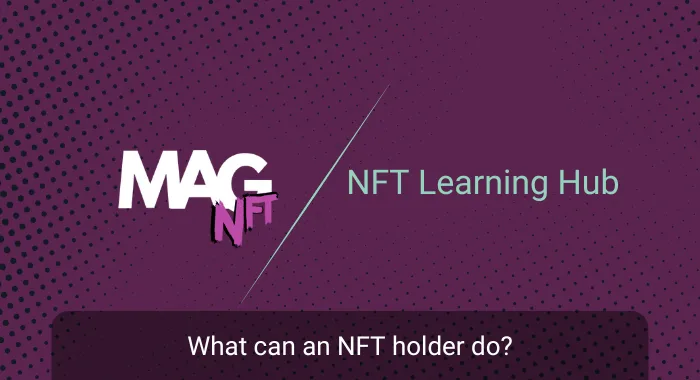 what can an nft holder do